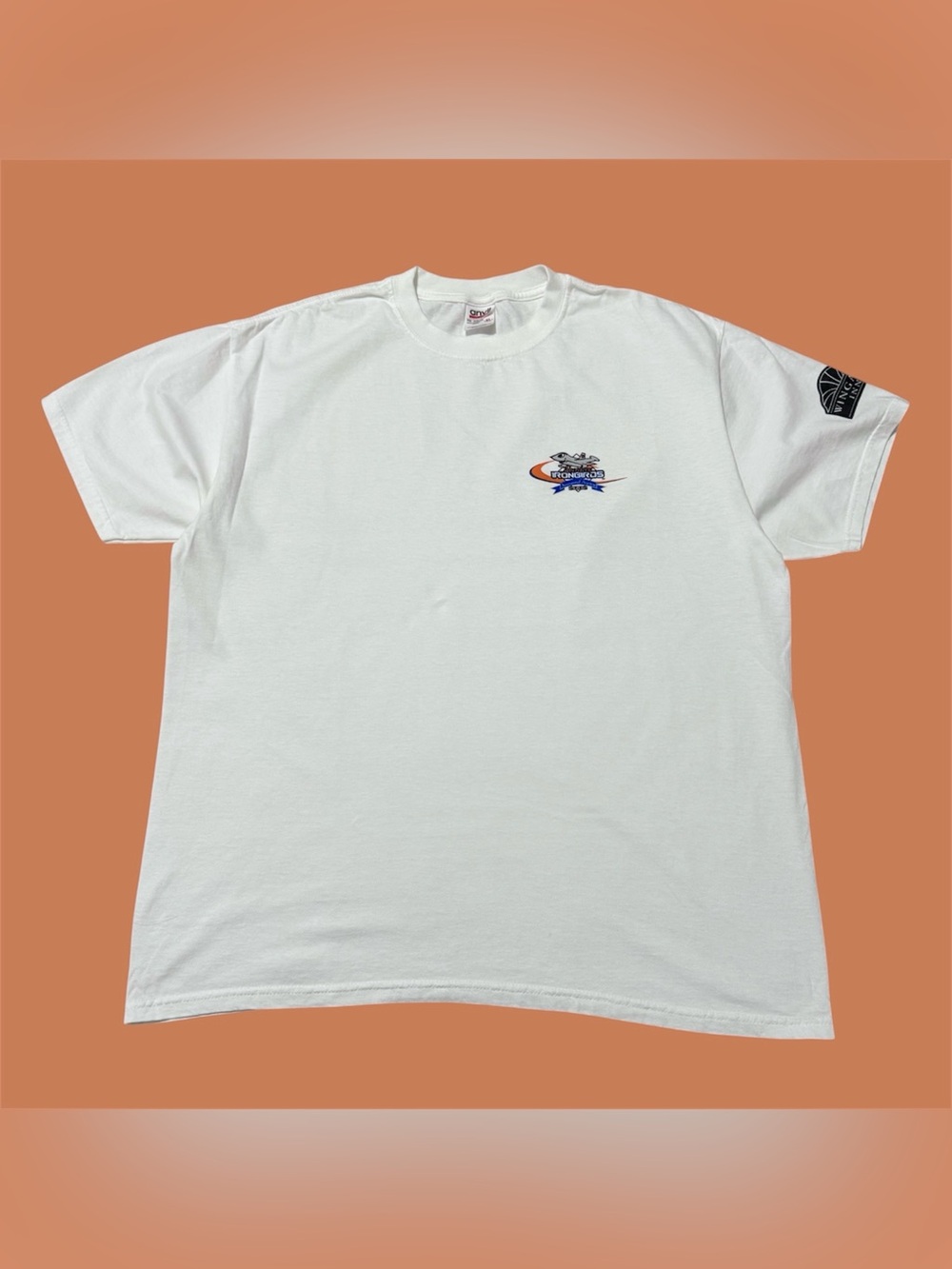 Anvil MiLB 2002 Aberdeen IronBirds Inaugural Season Tee